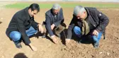 Türkiye Son 44 Yılın En Kurak Kışını Yaşıyor! Tohumlar Tarlada Çürüdü