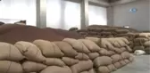 Fındığa TSK Dopingi