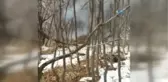 Bitlis'te Eyp Böyle İmha Edildi