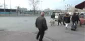 Rehber Köpeği Aslan, Hem Ev Hem Yol Arkadaşı