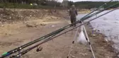 Balık Dedektifi