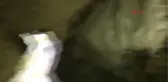 Hakkari'de PKK'ya Ait El Bombası ve Mühimmat Ele Geçirildi