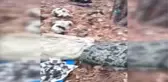 Amanoslar'da PKK'ye Ait 4 Erzak ve Mühimmat Deposu Ele Geçirildi