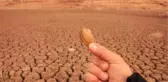 Mevsimler Şaşınca Kuraklık Gölleri Kuruttu! Yağışlar Başlamazsa Tehlike Büyük