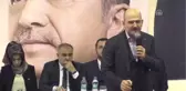 Soylu: 