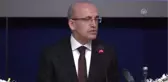 Mehmet Şimşek - Zeytin Dalı Harekatı