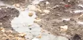 Isparta Köylülerden Kanalizasyon Tepkisi