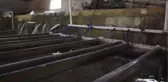 Denizi Olmayan Kent Yıllık 4,7 Bin Ton Balık Üretiyor