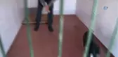 Sadık Dostlar İtaati Okulda Öğreniyor