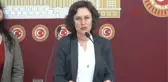 Hdp Grup Başkanvekili Filiz Kerestecioğlu Hakkında Beraat Kararı Verildi