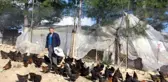 Son Maaşı ile 100 Tavuk Alıp Çiftlik Kurdu, Şimdi Talebe Yetişemiyor