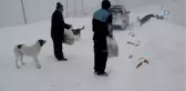 Karda Hayvanlar Ölmesin Diye Ekmek ve Yem Veriliyor