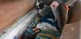 Sokak Hayvanlarına Battaniye