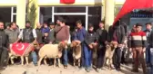 Adaklar 'Mehmetler' İçin Kesildi
