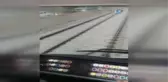 Metroda Köpek Kurtarma Operasyonu Kamerada