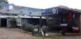 Kaplumbağa Ziyaretçileri 50 Bini Aştı