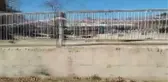 Acıpayam'da Şap Karantinası Devam Ediyor