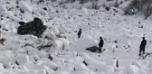 Zigana Dağı'nda Kamyonet Uçuruma Yuvarlandı: 1 Yaralı