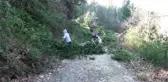 Defne Hasadı Orman Köylüsüne Geçim Kaynağı Oldu