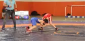 Minik Erkekler Güreş İl Birinciliği Sona Erdi