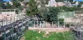 Antalya'nın Aslan Eto'o'su Baba Oluyor