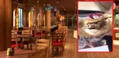 Dev Restoran Zincirinde Rezalet! Hamburgerin İçinden Yüzlerce Kurtçuk Çıktı