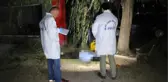 Adana'da Bir Kişi 4'üncü Kattan Atlayarak İntihar Etti