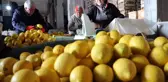 Limon Değerleneceği Güne Kadar Yatakta