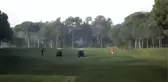 Nuri Özaltın Memorial Trophy Golf Turnuvası