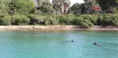 Bodrum Güvercinlik'te Deniz Dibi Temizliği