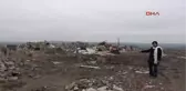 Edirne'de 500 Köpek Kayboldu İddiası