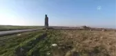 Edirneli Hayvanseverlerden İtlaf İddiası
