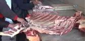 Gençler Yaban Hayvanları İçin Doğaya Yem Bıraktı
