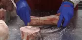 İzmir Önceden Yem Yapılan Kemikler Artık Şifalı Ürüne Dönüşüyor