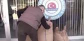 Mehmetçiğe Fındıklı Destek