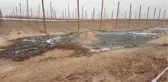 Kuyu Sondajından 