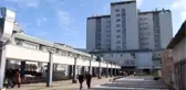 Trabzon'da Şarbon Paniği