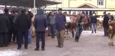 Paşa
