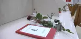 Sevgililer Günü Nedeniyle Kütüphaneyi Gül Bahçesine Çevirdiler
