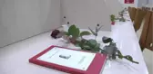 Sevgililer Günü Nedeniyle Kütüphaneyi Gül Bahçesine Çevirdiler