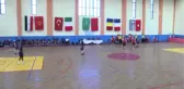 Hentbol: 15. Erkekler Akdeniz Şampiyonası