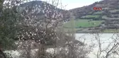 Mevsim Normallerinin Üstündeki Sıcaklık Badem ve Erik Ağaçlarını Şaşırttı
