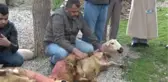 Şef Açılar Üniformalarını Mehmetçik İçin Giydi