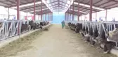 Hepsini Almanya'dan Getirdi! Aylık Geliri 20 Bin Lira