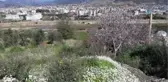 Düşen İlk Cemre Antalya'ya Baharı Getirdi