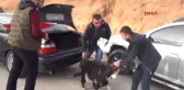 Adıyaman'dan 'Zeytin Dalı Harekatı' İçin Jöh Sevkiyatı