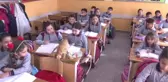 Kedi 