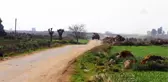 Zeytin Dalı Harekatı - Takviye Amacıyla Gönderilen Askeri Araçların Sınır Hattına Sevkiyatı - Hatay