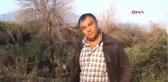 Aydın Portakal Üreticileri Ağaçlarını Kesiyor