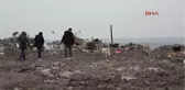 Edirne'de Kayıp 500 Köpek Aranıyor